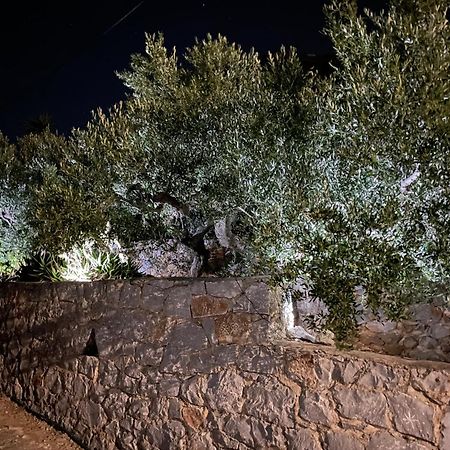 Πύργος Παραδοσιακός Με Μαγευτική Θέα - Villa Traditional Tower With Amazing Sea View อาเรโอโปลิส ภายนอก รูปภาพ