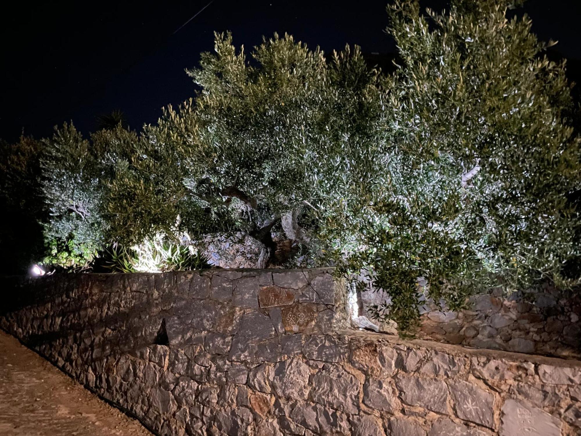 Πύργος Παραδοσιακός Με Μαγευτική Θέα - Villa Traditional Tower With Amazing Sea View อาเรโอโปลิส ภายนอก รูปภาพ